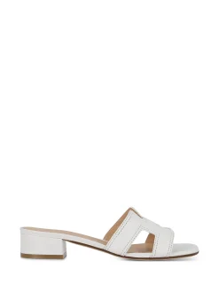 ALBA TECI Slides* white