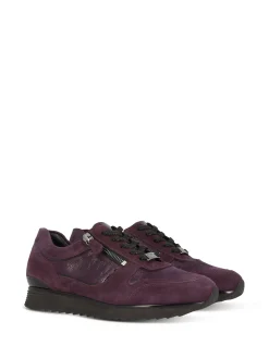 HASSIA Sneakers* prune