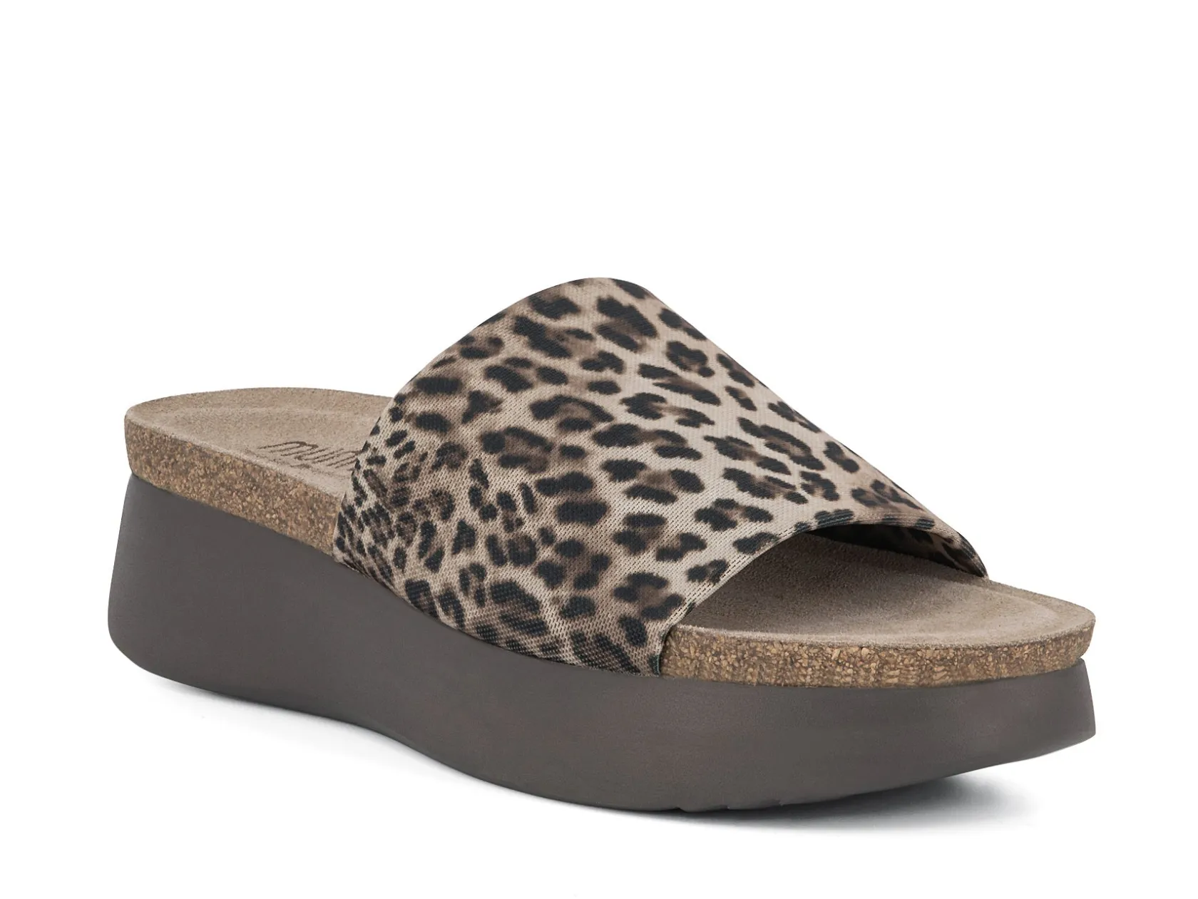 MUNRO Slides* leopard