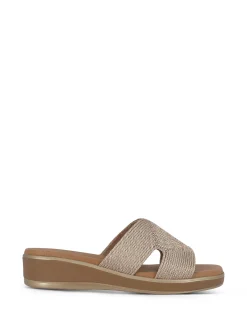 SUSIMODA Slides* copper